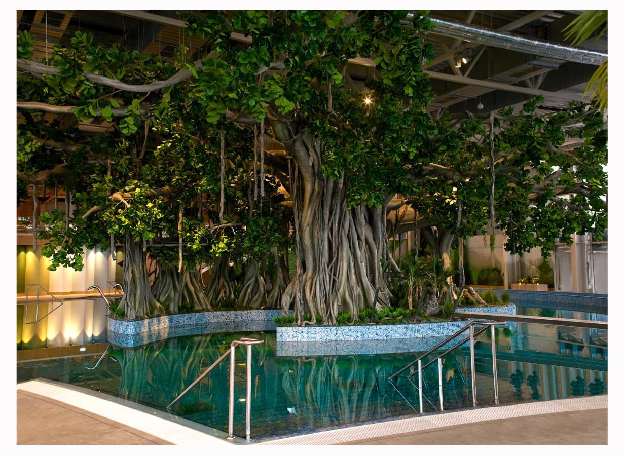 Amazonia Apartments 티미쇼아라 외부 사진