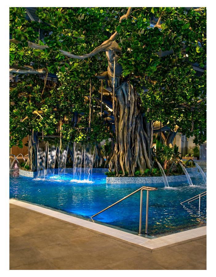 Amazonia Apartments 티미쇼아라 외부 사진