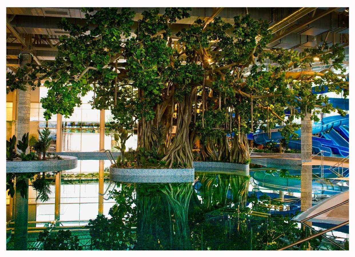 Amazonia Apartments 티미쇼아라 외부 사진