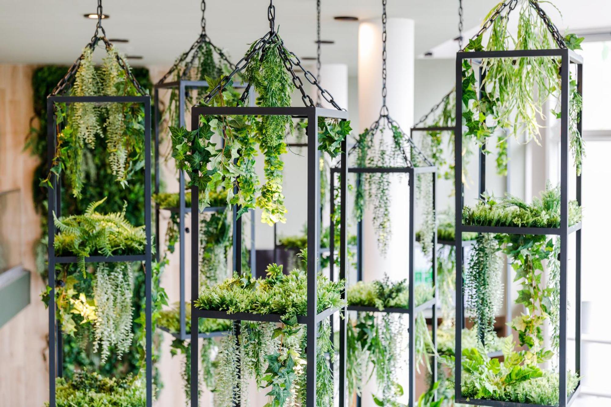 Amazonia Apartments 티미쇼아라 외부 사진
